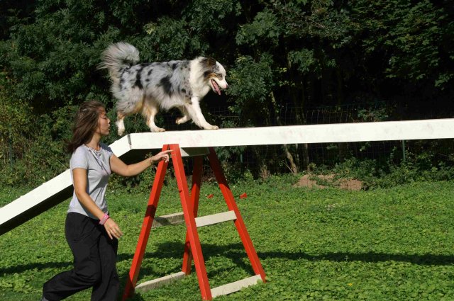 agility 2011-08